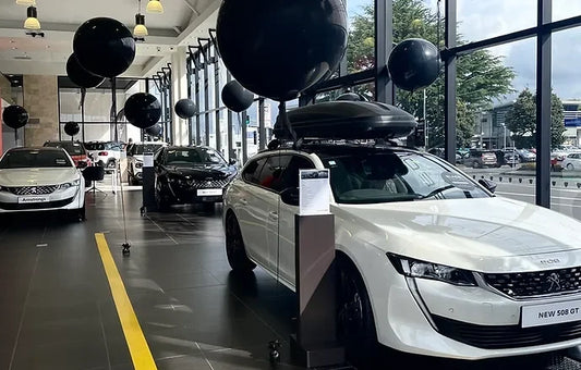 Large Scale Instalations - Balloonz