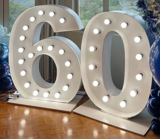 Giant 60 light up numbers 