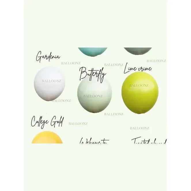 Balloon garland 2.5m kit Eucalyptus-sand/silver -UN-INFLATED - Balloonz