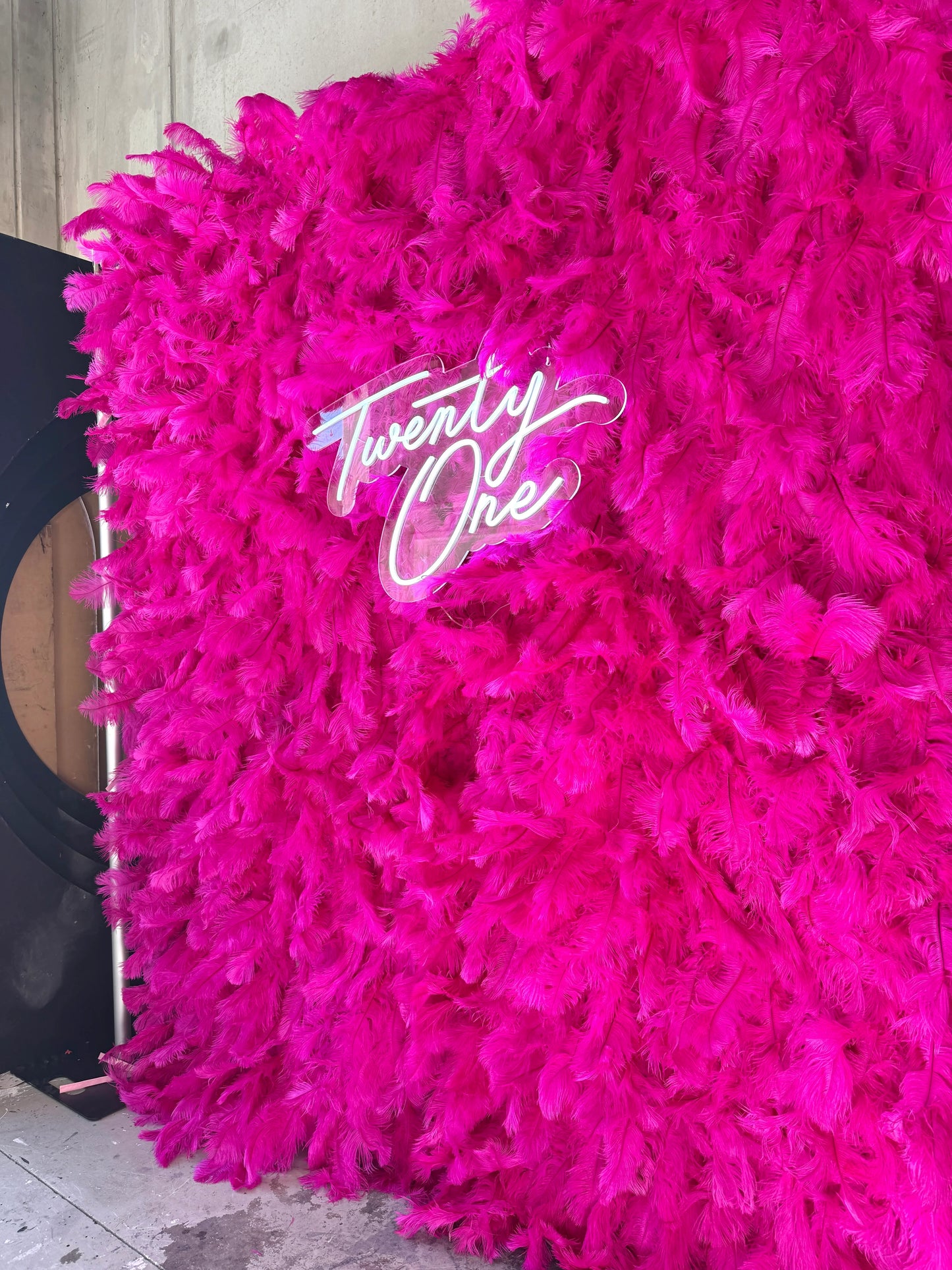 Hot Pink Feather Wall Backdrop (2.4m x 2m) – Neon Sign Included - Balloonz