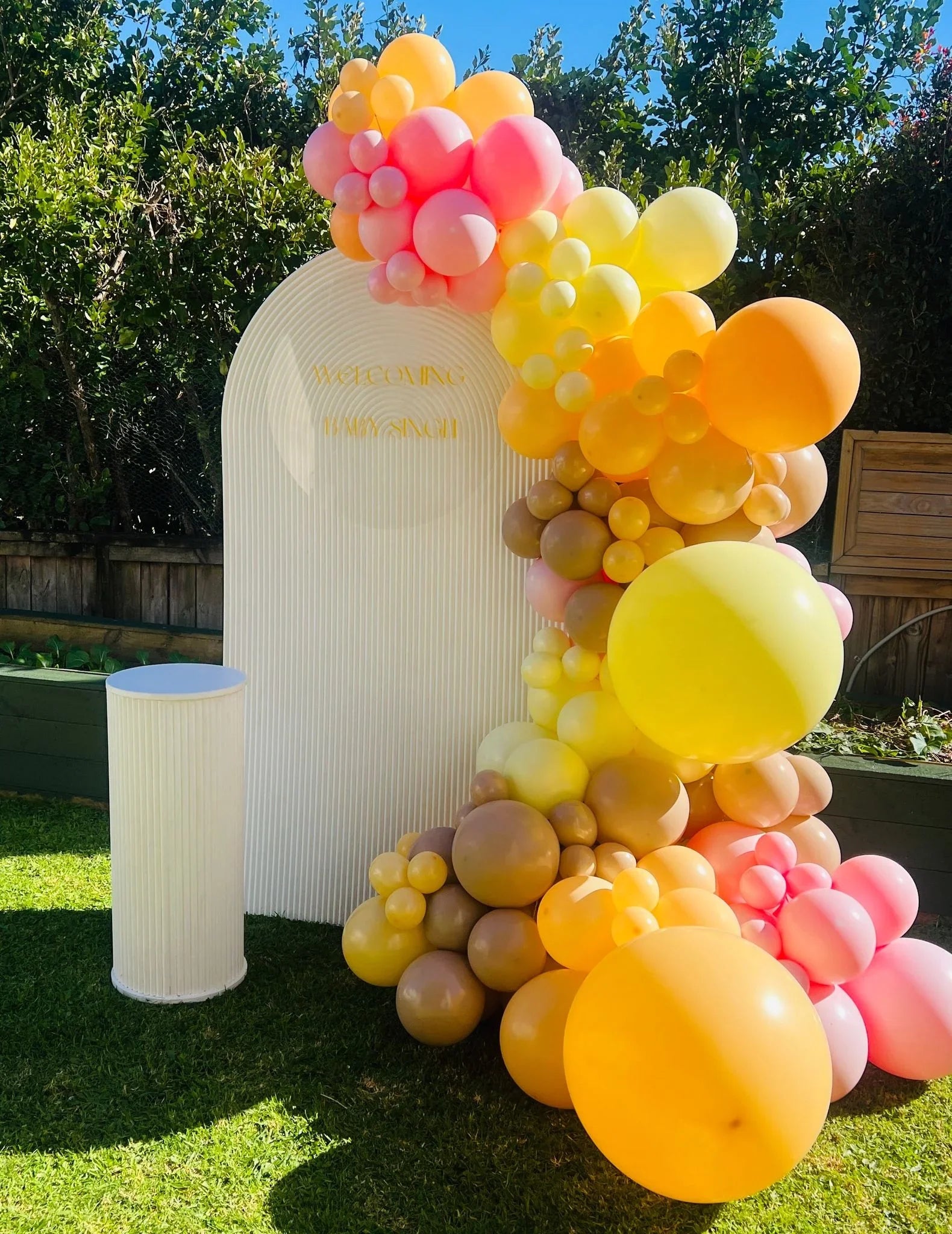 Rose, honey yellow and hazelnut balloon backdrop - Balloonz