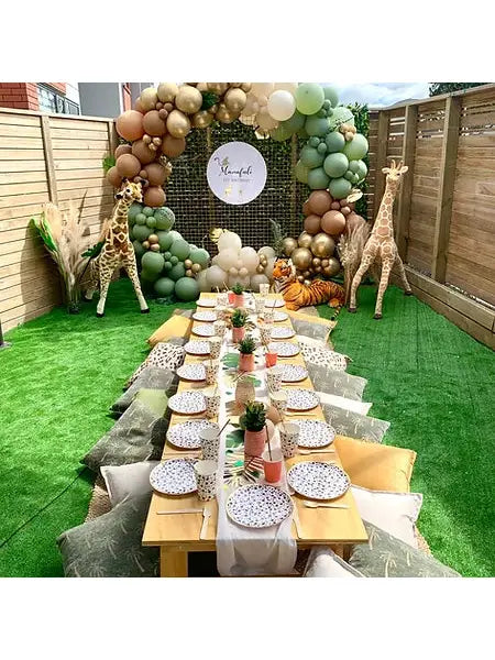 Safari setup backdrop hire backdrop Balloonz   