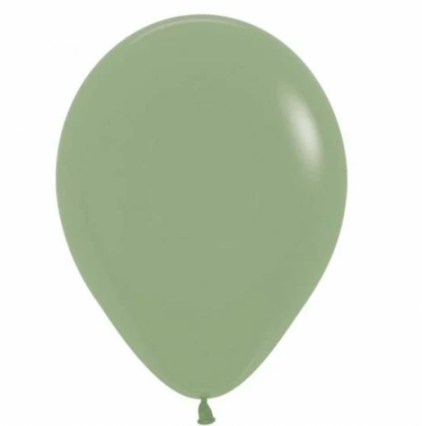 EUCALYPTUS -  BALLOON in Sizes - small, regular or large Individual balloons Balloonz   