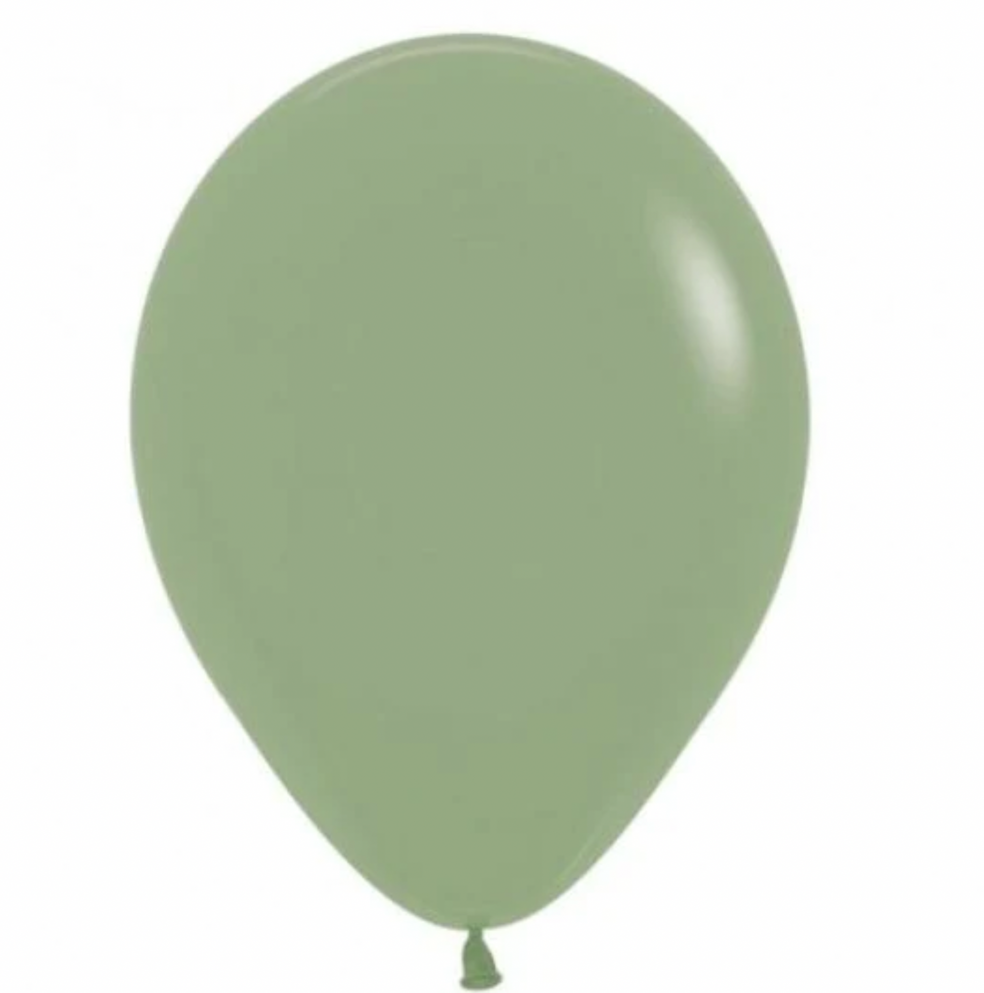 EUCALYPTUS -  BALLOON in Sizes - small, regular or large